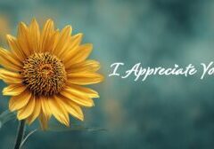 i appreciate you
